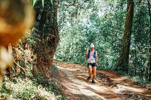 BIB: 
                            <button type="button" onclick="openModal(25395560)" class="btn btn-primary btn-sm float-right btn-popup" data-toggle="modal" data-target=".modal-high-quality">
                        <i class="fas fa-shopping-cart"></i> Add to Cart
                    </button>
                                            <button type="button" onclick="isThisMe(25395560, true)" class="btn btn-success btn-sm float-right btn-popup btn-isme hidden" data-toggle="tooltip" data-placement="bottom" title="นี่คือรูปของคุณใช่ไหม คลิกที่นี่เพื่อเอาเข้าอัลบั้ม">
                        <i class="fas fa-plus"></i> Add to album
                    </button>
                    <button type="button" onclick="isThisMe(25395560, false)" class="btn btn-warning btn-sm float-right btn-popup btn-isnotme hidden">
                        <i class="fas fa-ban"></i> Remove from album
                    </button>